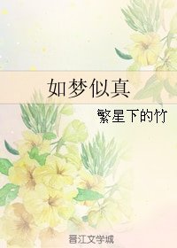 如梦似真