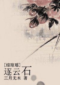 《(综琼瑶同人)逐云石》