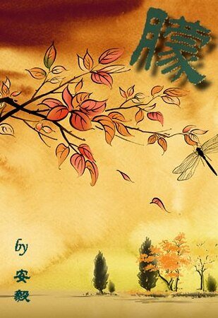 朦