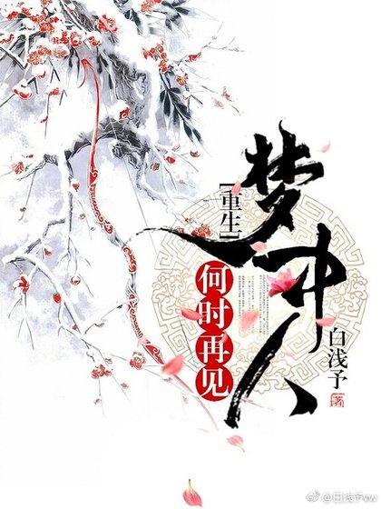 评何时再见梦中人