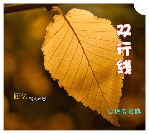 双行线