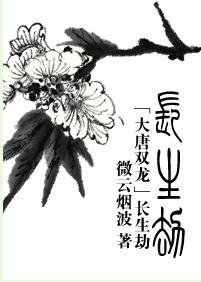 （大唐双龙传同人）长生劫