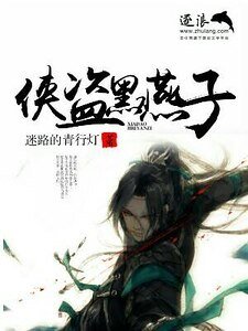 《侠盗黑燕子》