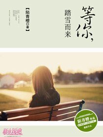 等你，踏雪而来