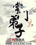 《掌门弟子》