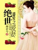 盛爱之绝世暖妻