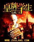 皇牌学生