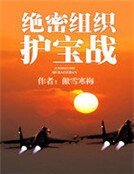 绝密组织护宝战