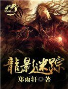 龙影迷踪