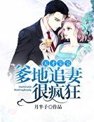 《天才宝宝:爹地追妻很疯狂》