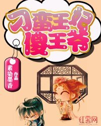 《刁蛮王妃傻王爷》