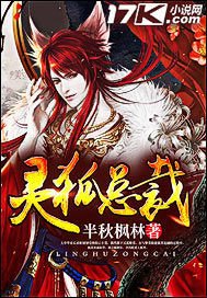 灵狐总裁