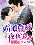 钻婚蜜爱：霸道总裁夜夜宠