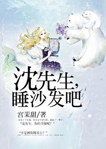 《沈先生,睡沙发吧》