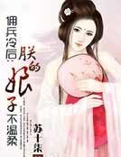 佣兵冷后：朕的娘子不温柔