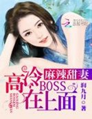 麻辣甜妻：高冷BOSS在上面