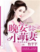 盛少夺爱：晚安小萌妻