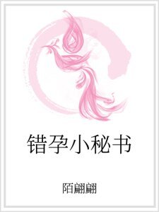 错孕小秘书