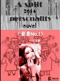 《爱妻NO.1》