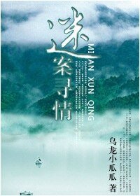 《迷案寻情》