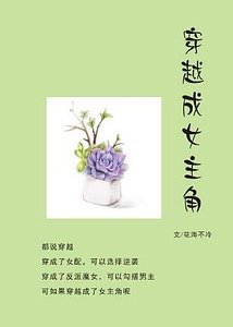 《(综影视同人)穿越成女主角(快)》