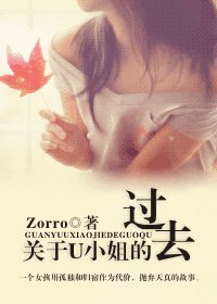 关于U小姐的过去