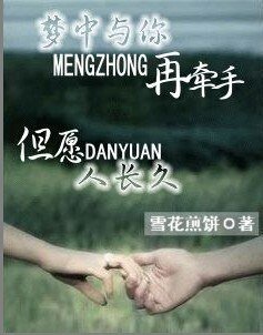 梦中与你再牵手，但愿人长久