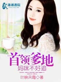 首领爹地，妈咪不好追