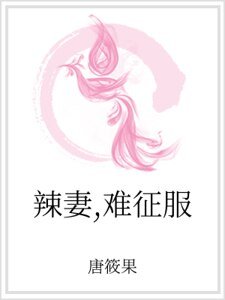 《辣妻,难征服》