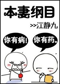 本妻纲目