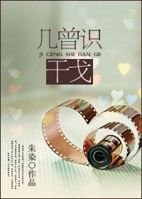 几曾识干戈