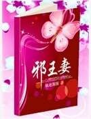 邪王妻