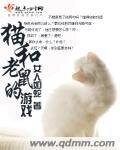 猫和老鼠的游戏