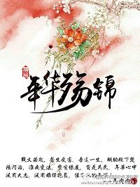 《年华殇锦》