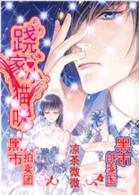 黑石拍卖团：跷家小猫咪