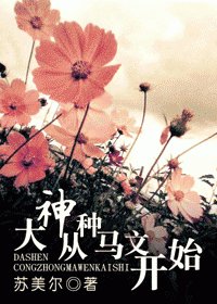 《大神从种马文开始》