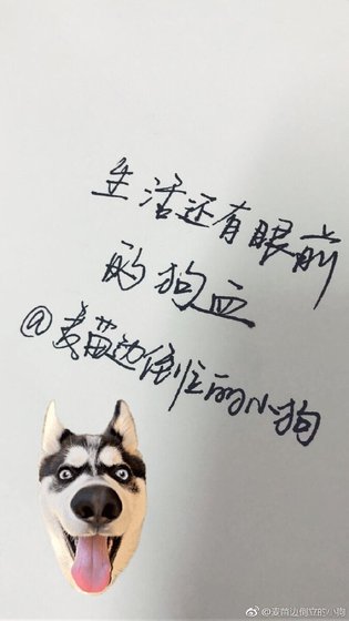 生活还有眼前的狗血