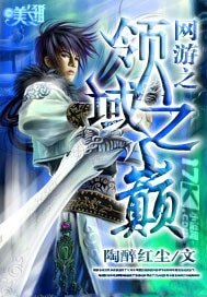 《网游之领域之巅》