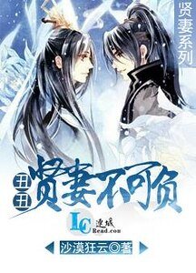 丑丑贤妻不可负