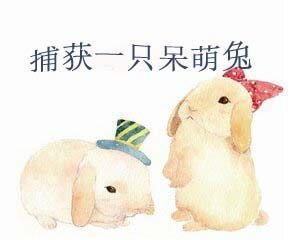 捕获一只呆萌兔