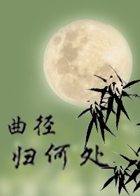 曲径归何处