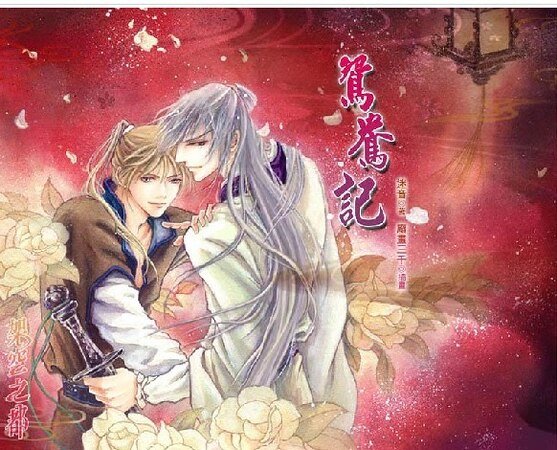 鸳鸯记 （出书版）
