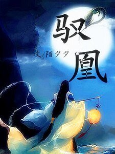 《驭凰/墨色》