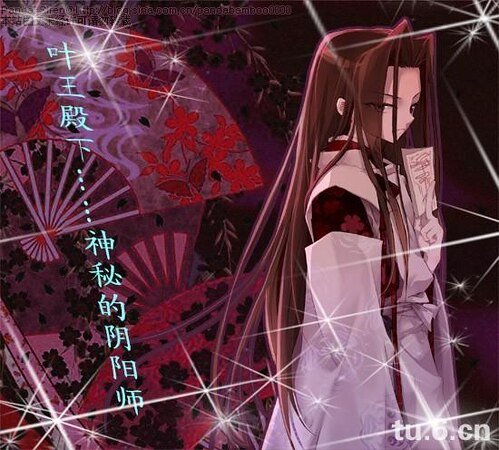 （通灵王同人）‘毒蝎’俘虏狂王爷の强强对阵