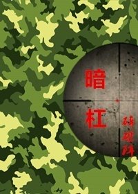 （电视剧同人）暗杠