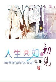 《(网王同人)人生只如初见》