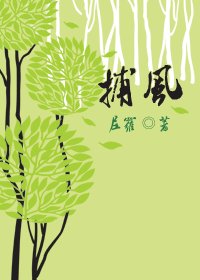 《捕风》