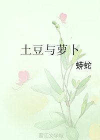 土豆与萝卜