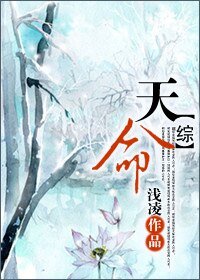 《(综同人)综 天命》