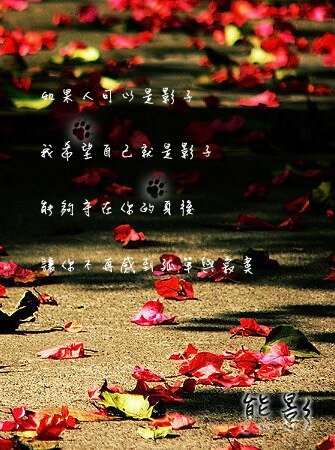 《熊影》